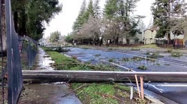 Downed trees, blocked roads, and toppled power lines as storm hits Sacramento, US