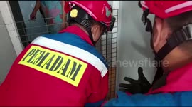Dramatic Evacuation of Cats Stuck in Iron Ramps of Residents' House Fences