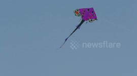 Kites of all shapes and sizes take to sky during International Kite Festival in India