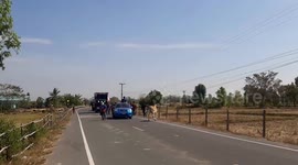 Baby cow frightened by loud music chases away passing Buddhist parade in Thailand