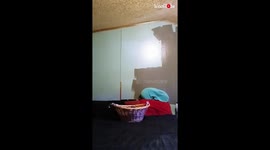 Boyfriend gets surprised with an adorable kitten days after losing one *Heartwarming*