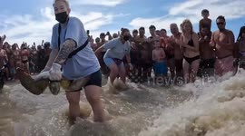 Green turtles trapped in fishing net released into ocean in Argentina