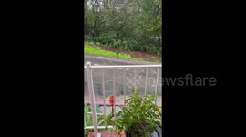 US: Ongoing Storm Causes Flash Flooding, Swollen Creeks In California 7