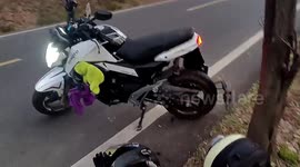 Motorcyclist knocked off bike by wild boar dashing across road in China