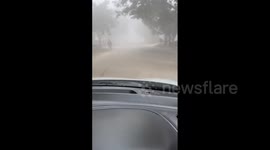 Dense fog in northern India causes low-visibility and flight delays