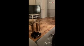 Excited puppy learns that freshly mopped floors aren't friendly