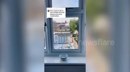 Mum reveals simple way to stop condensation on your windows for just 65p – using salt