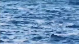 British tourist tied down with ropes after sparking panic by jumping off pier on Thai beach