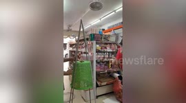 Shop owner shows how she made a cool DIY Christmas tree