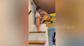 Pet Golden Retriever with fear of heights comforted by owner on top of bunk bed