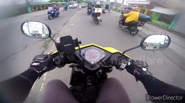 Stray dog narrowly avoids being crushed by oncoming car