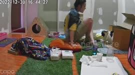 Crazed pregnant cat attacks owner while labouring with kittens