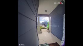 Kid caught on camera playing Ding-Dong Ditch while wearing a T-rex costume