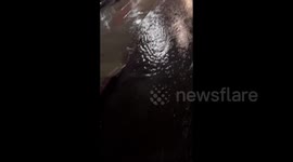 Heavy rain hits Los Angeles, CA, USA