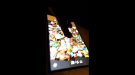 House Cat plays match 3d master video game on cell phone while owner watchesn