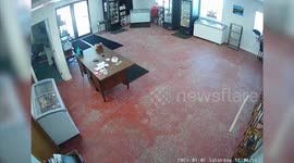 Deer captured crashing through butcher's glass door in Minnesota