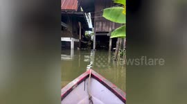Curious pet dog asks for help climbing boat after swimming around flooded neighbourhood