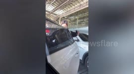 Clumsy passenger bursts out laughing when her luggage handle snaps off at airport