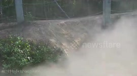 Herd of wild elephants with babies crawl down fence to come in and out of compound in Thailand