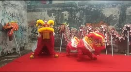 A group of Millennial Youth in Indonesia Practicing Lion Dance Ahead of Chinese New Year 2023