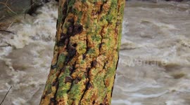 Severe Weather: Rain and Flood Damage in California