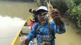 Ouch! Fisherman gets lip pinched by giant shrimp