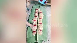 Excited dogs and cat share meal of noodles and rice on banana leaf for pooch's birthday