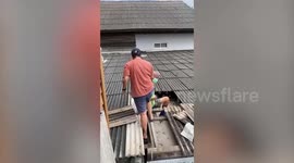 Kitten stuck under roof tiles for hours rescued by kind animal lover