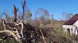 US: Tornado Touches Down In Selma, Alabama Leaving Multiple Injuries And Significant Damage