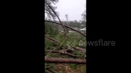 'I have lost everything' says man as he shows aftermath of tornado in Georgia, US