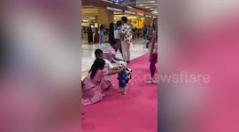Friendly dog plays with youngsters like a little child
