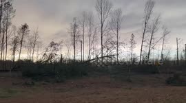 Trees and trucks toppled over after tornados leave trail of destruction in Georgia