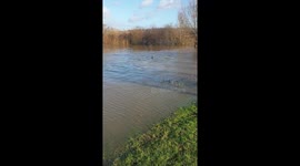 Flooding strikes southern UK as River Avon has bursting banks