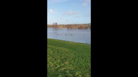 At Avon Valley wildlife and adventure Park, Lower event field which is underwater. The river Avon bursting its banks between Bath and Bristol