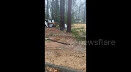 Downed trees and damaged homes in Georgia, US, after tornado swept through area