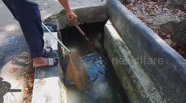 catching fish with electricity in a ditch