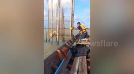 Firefighters save stray dog stranded in lake for two weeks during flash floods in Thailand
