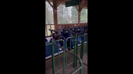 We went to check out a rollercoaster that is due for demolition very soon.