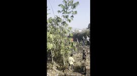 plane carrying 72 people including crew crashes in pokhra