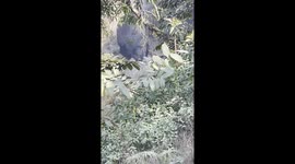 plane carrying 72 people including crew crashes in pokhra