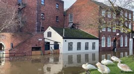 Huge areas of a city centre have been turned into lakes as rising water levels engulfed fields gardens, buildings and even a racecourse
