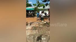 Fisherman killed after legs were chews off by crocodile in Indonesia
