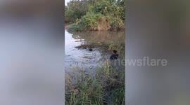 Hero passerby swims through neck-deep pond to save drowning dog