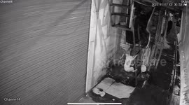 Hero neighbour saves choking pet dog strangled by its leash