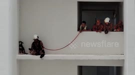 Firemen rescue terrified dog stranded on ledge of high-rise building