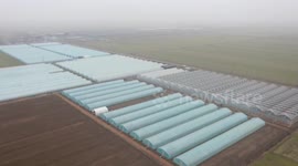 Workers Pack And Sort Flowers At A Flower Planting Base in Suqian, China
