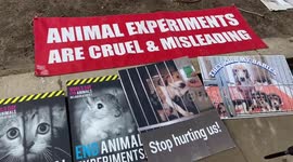 Animal testing protest outside Parliament