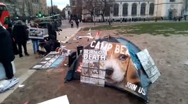 Animal rights protesters gather at laboratory animal debate