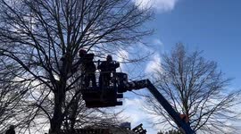 Police taking activist off a tree in Lützerath, Germany