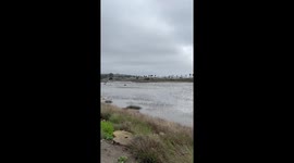 San Diego River Flooded MLK bomb Cyclone in California